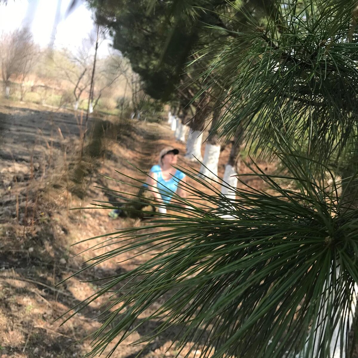 фото из архива автора