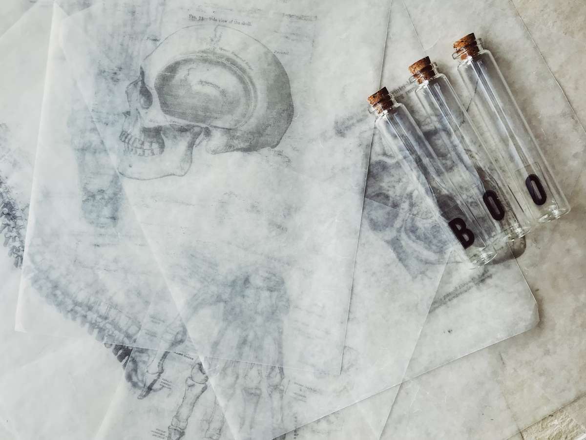 Источник фото: unsplash.com Фотограф: Joyce Hankins