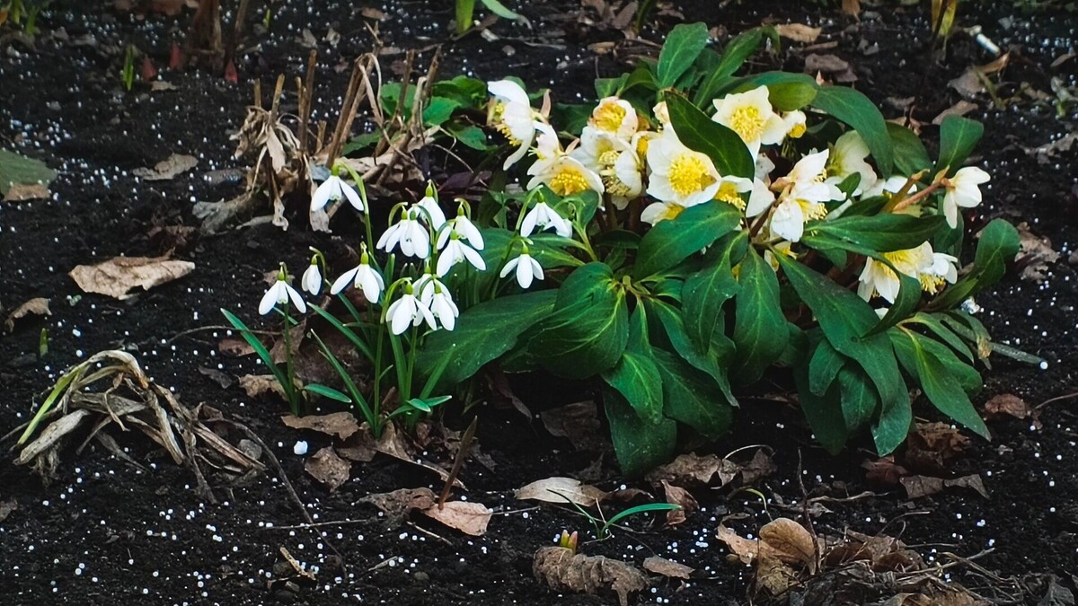     Источник: 1MI