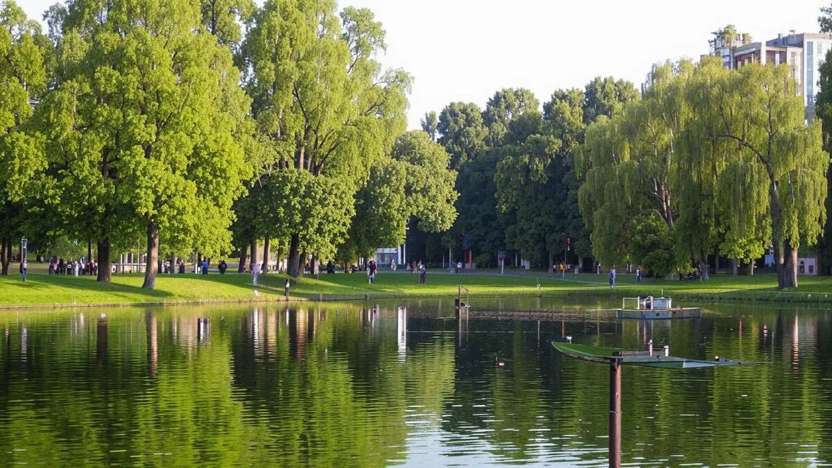    Сгенерировано ИИ