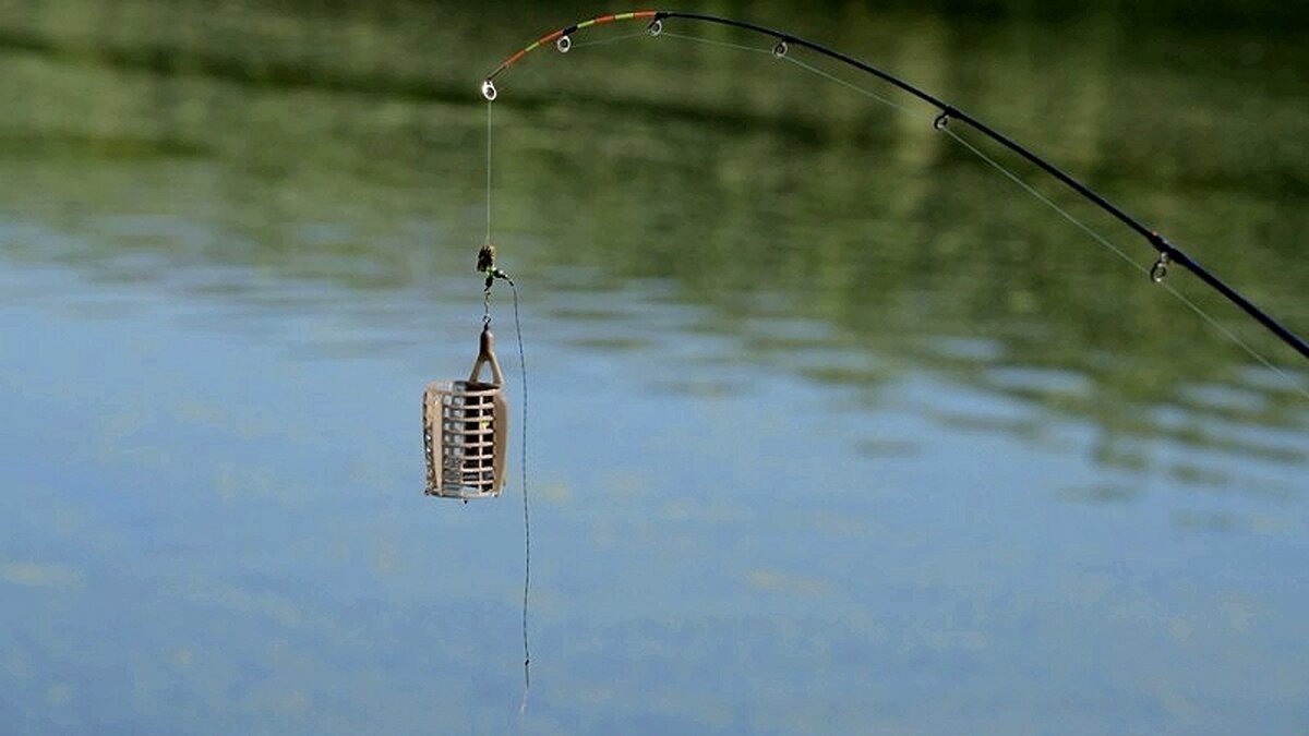 Фидерная снасть 