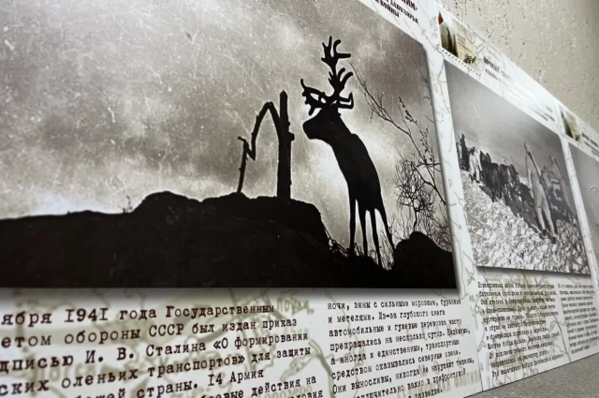    На выставке представлена знаменитая фотография Евгения Халдея, где запечатлен олень Яша на войне.