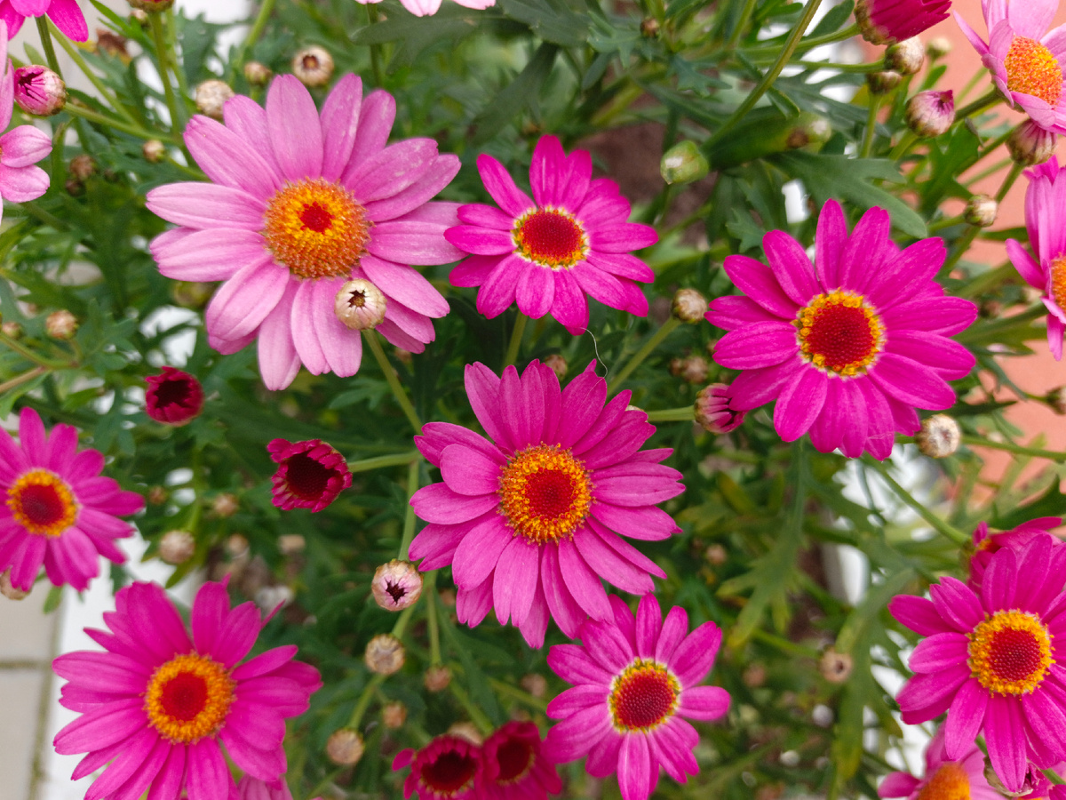 ТФ Сириус, Имеретинская набережная, апрель, 2025 г.