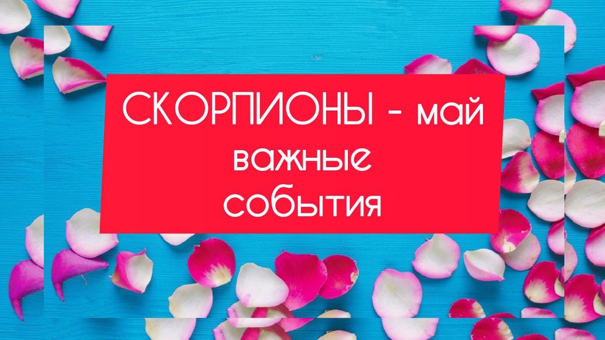 картинка принадлежит автору канала