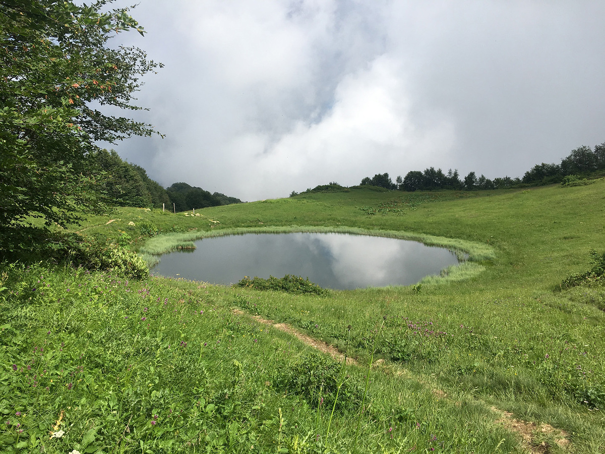 Лето зеркальное 