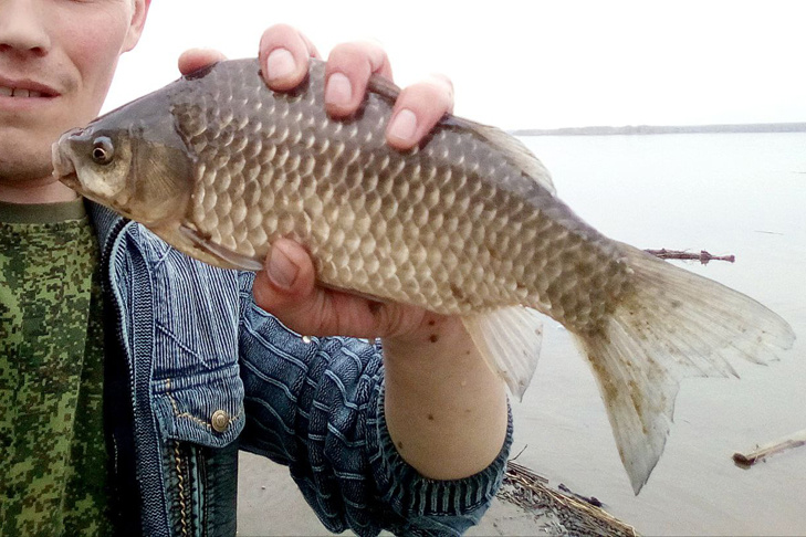    Фото Михаила Пермина