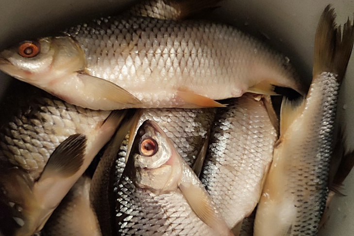 © Фото Сергея Бычкова.📷
