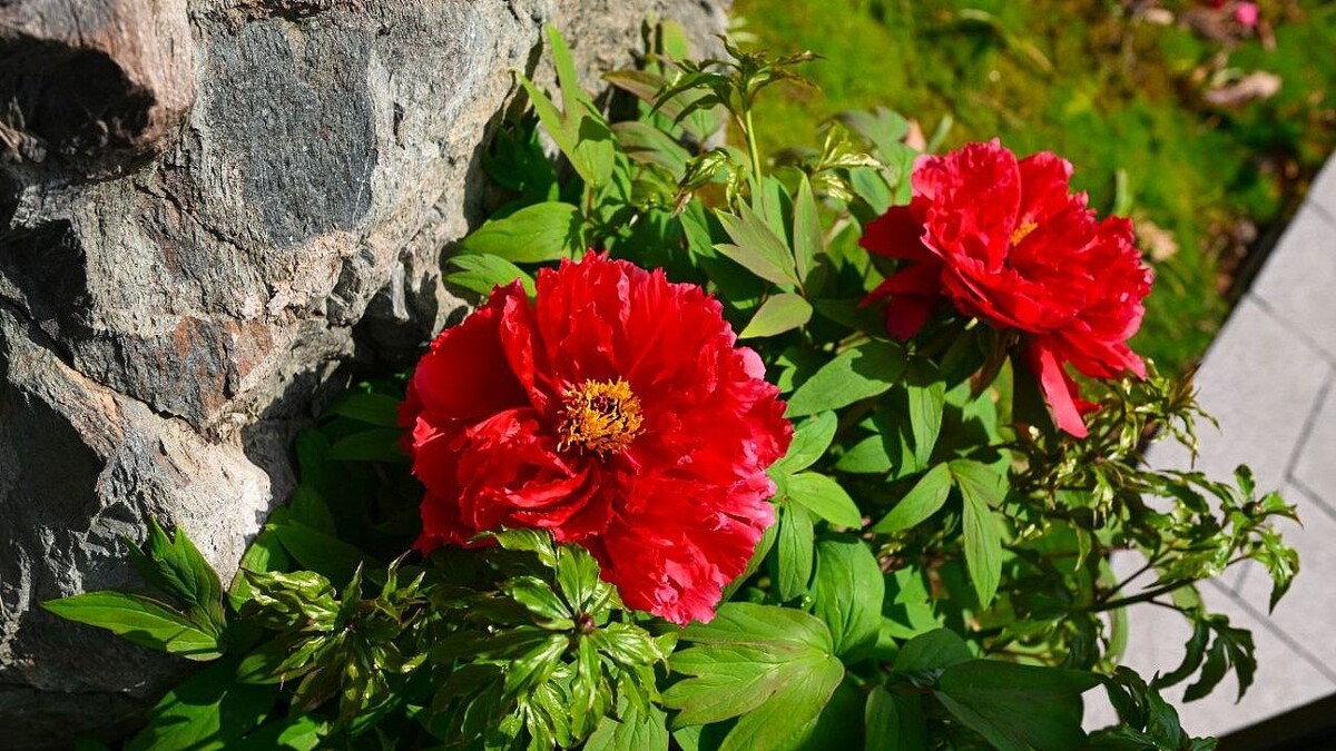    Фото: t.me/parkkrd