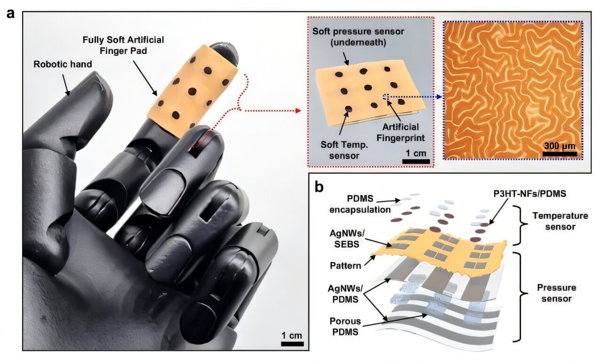    Nature Communications (2025)