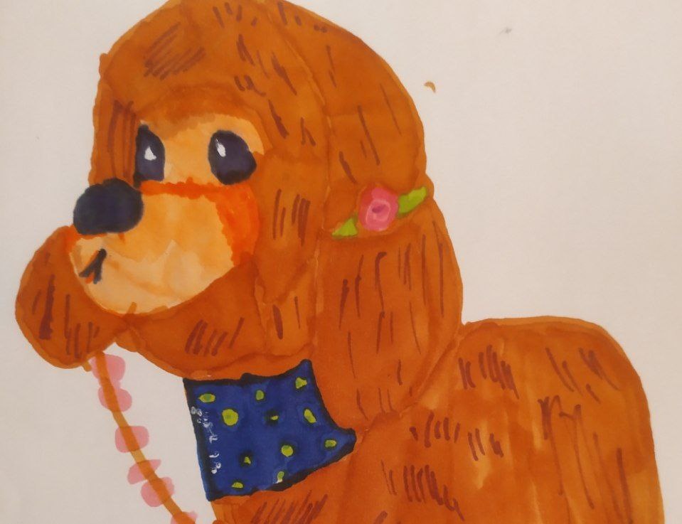    Виктория из Нижнего Новгорода нарисовала домашнего питомца по имени Мика