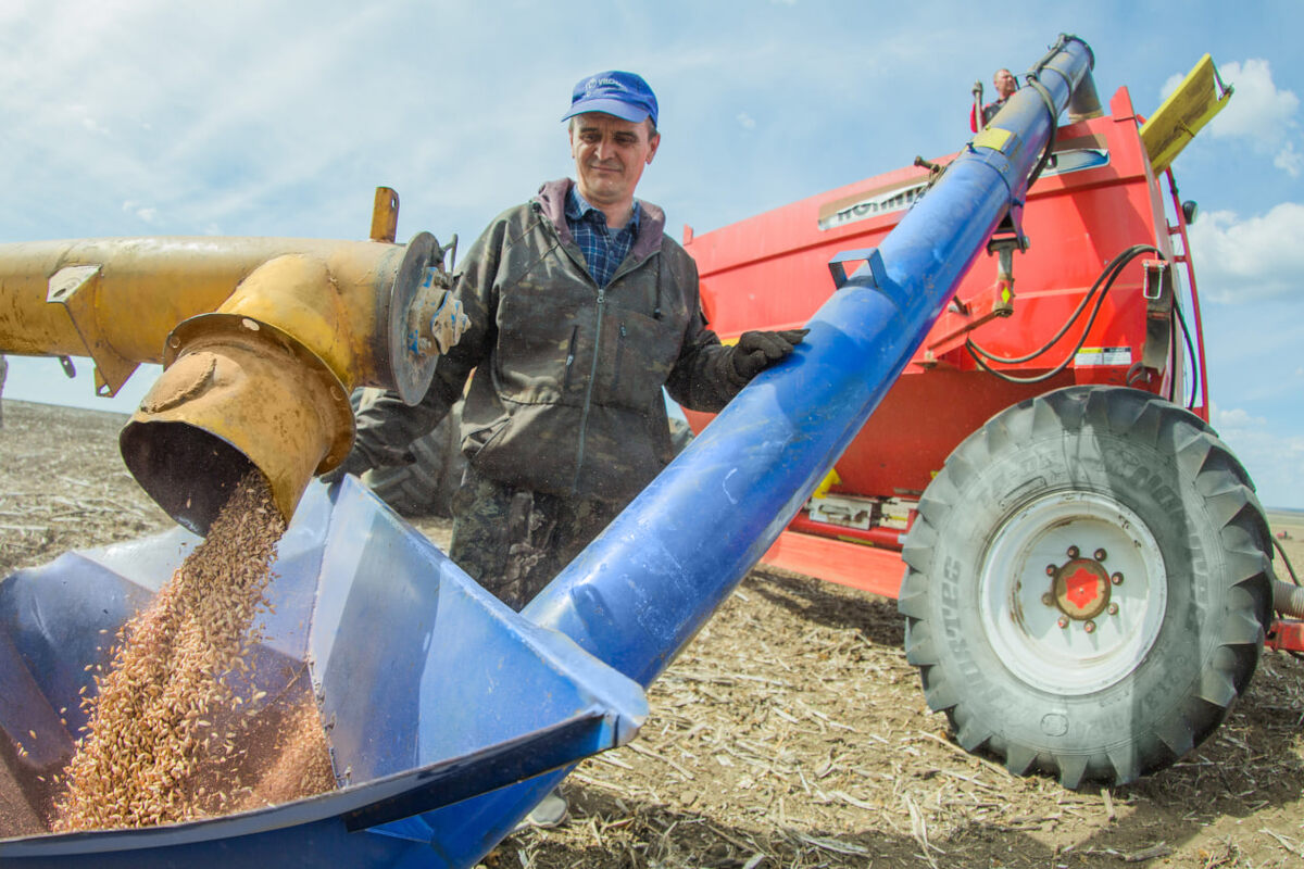     Акбулакские земледельцы набрали темпы посевной Алла Черкесатова
