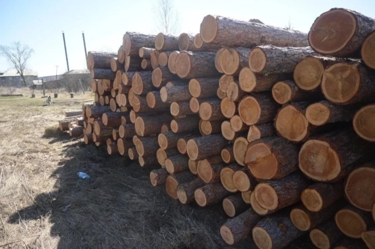    В Уярском районе чиновницу судят за содействие рубке леса на 467 млн рублей