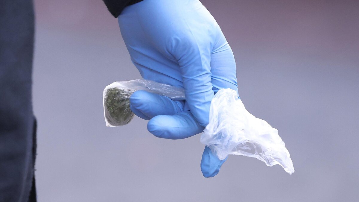    Фото: David Young/globallookpress.com