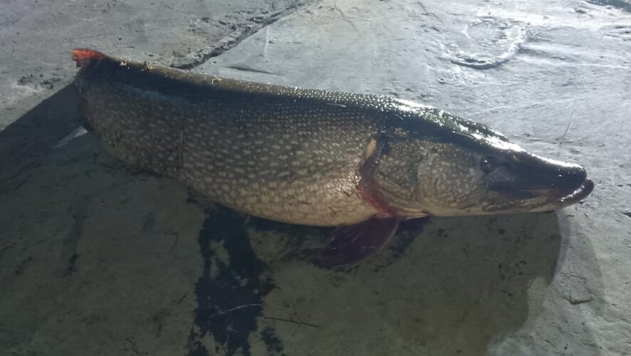    Фото: "Знамя Труда | Усть-Таркский район / VK