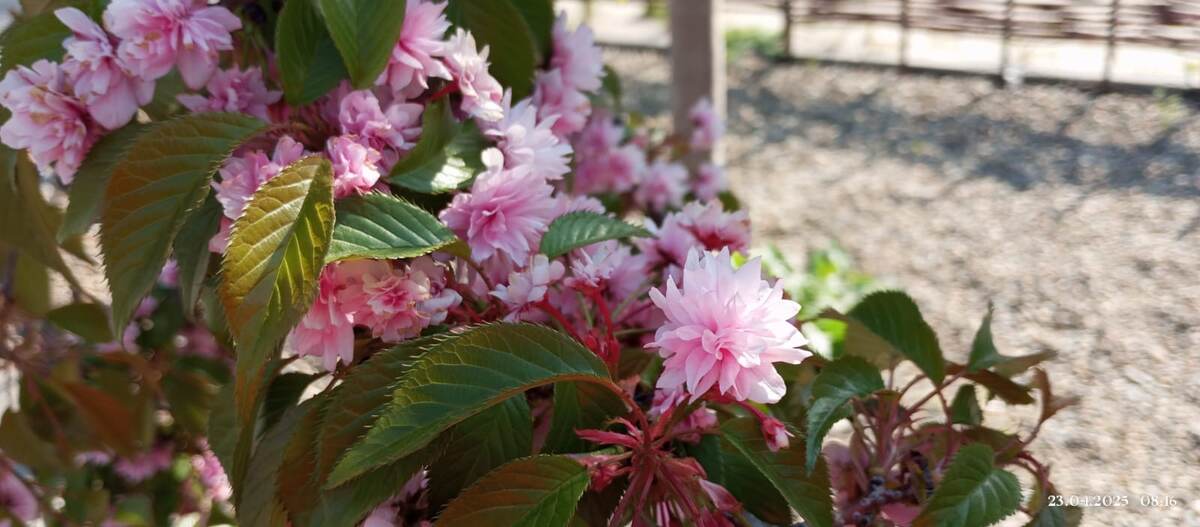 Фото автора Поспелова Евгения Ростов на Дону