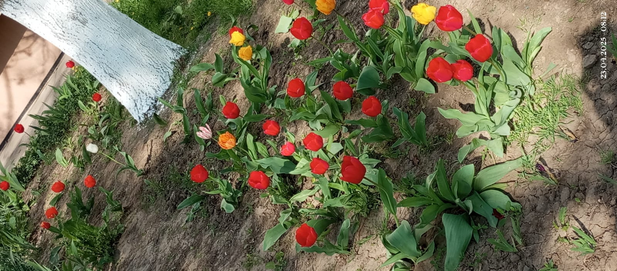 Фото автора Поспелова Евгения Ростов на Дону