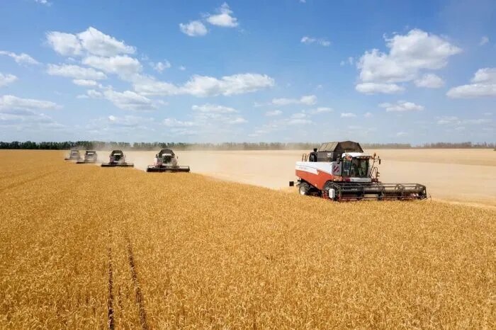 Фото: donland.ru