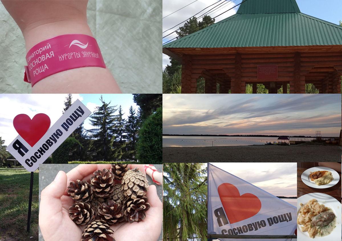 санаторий "Сосновая роща" Курганская область