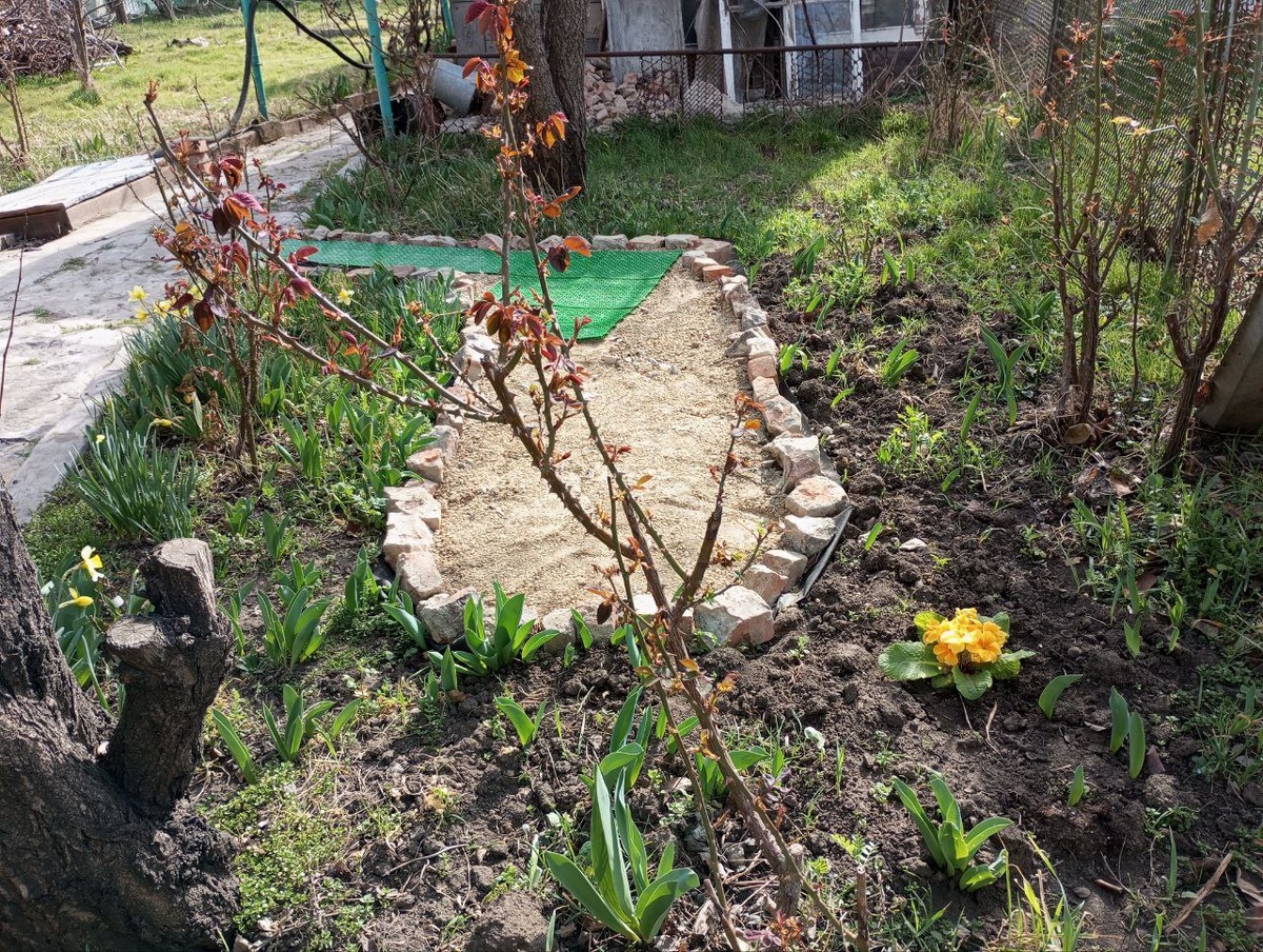 Здесь всё было в розах