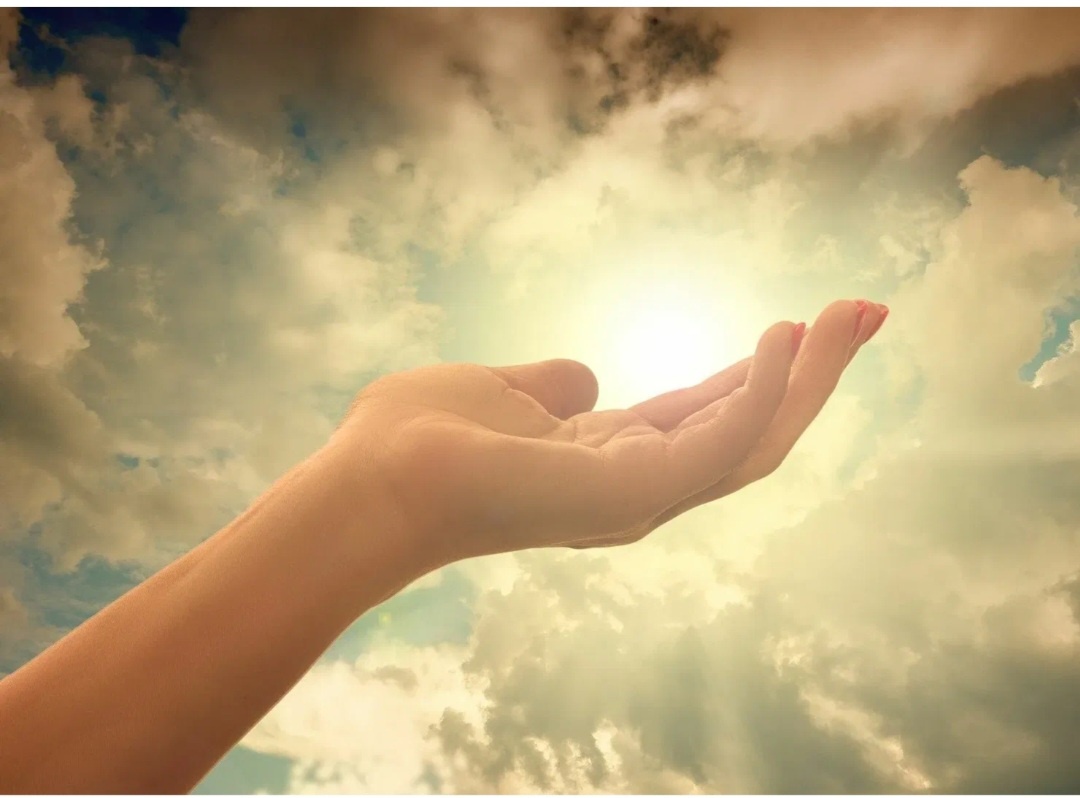 Картинка взята из галереи интернета в свободном доступе