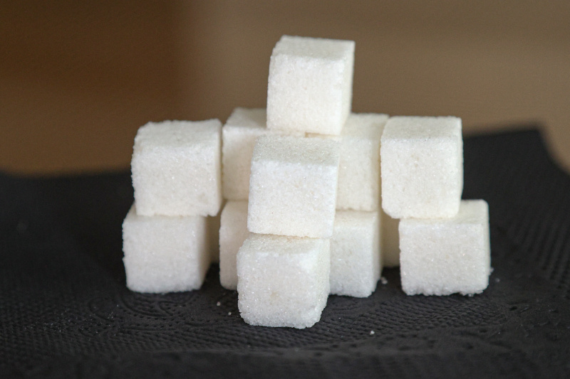    Фото: © Bulkin Sergey/news.ru/Globallookpress