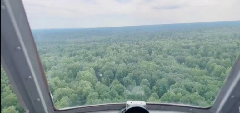    Фото с сайта МВД Ксения Евдокимова