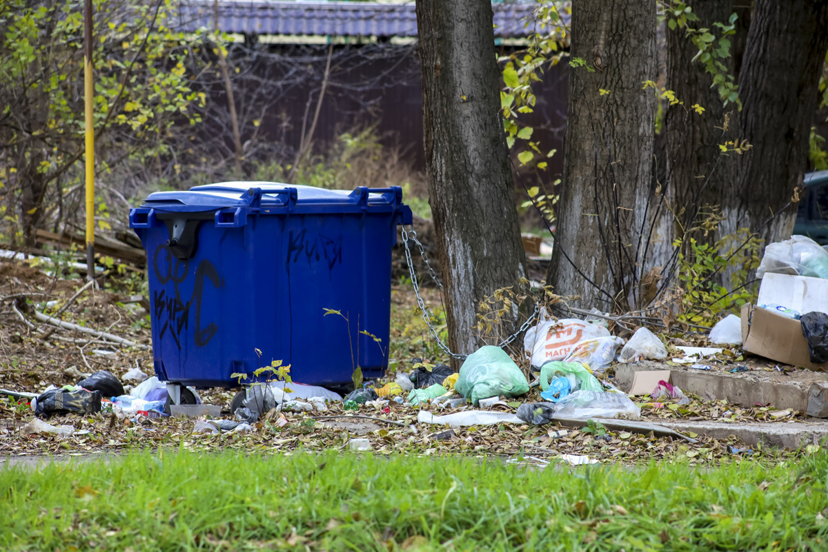 В надзорном ведомстве обратили внимание на ненадлежащее содержание контейнерных площадок.  Фото: Фото: ФедералПресс / Елена Майорова