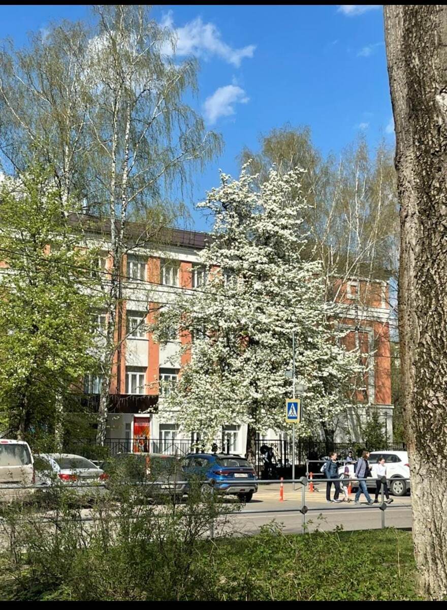 Долгопрудный в цвету. Фото автора. 