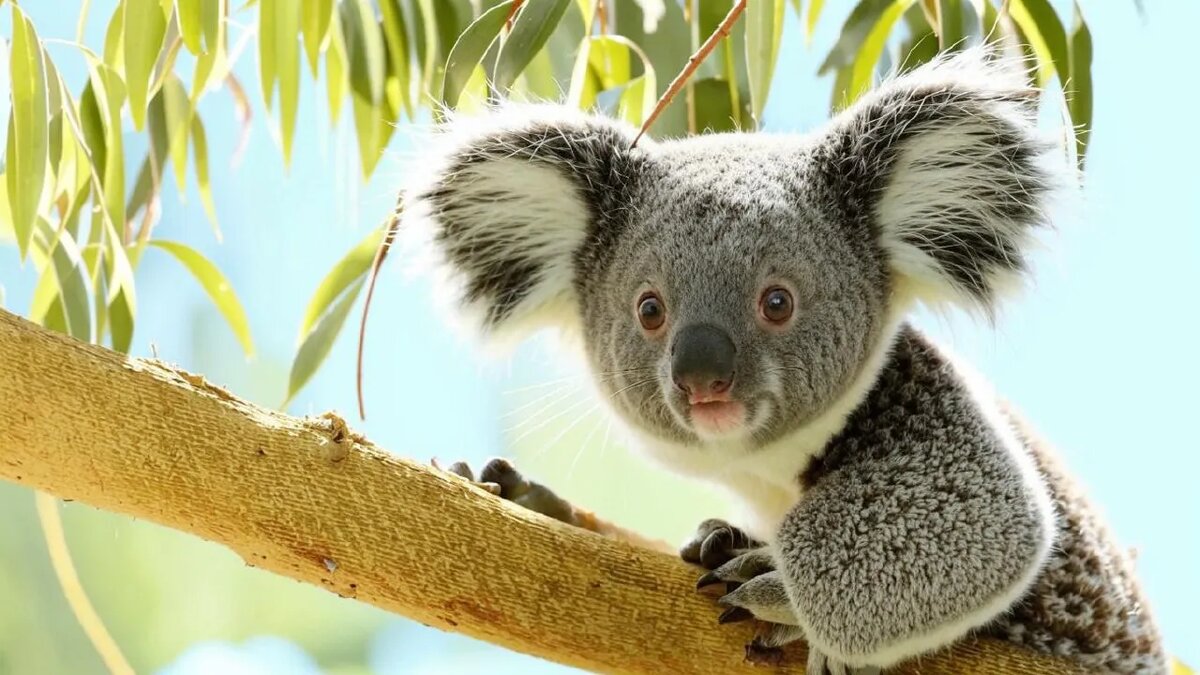    Сгенерировано ИИ