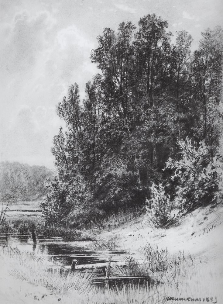 Иван Иванович Шишкин "Ручей" 1883 год. Бумага тоннированная на картоне, уголь мел, белила. Не такая сложная работа, как "Берег моря. Мери Хови" 1889 года, зато трубующая более тонкой организации и душевная.