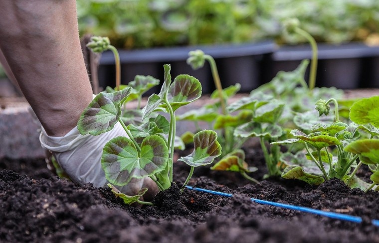    Сергей Булкин/NEWS.ru