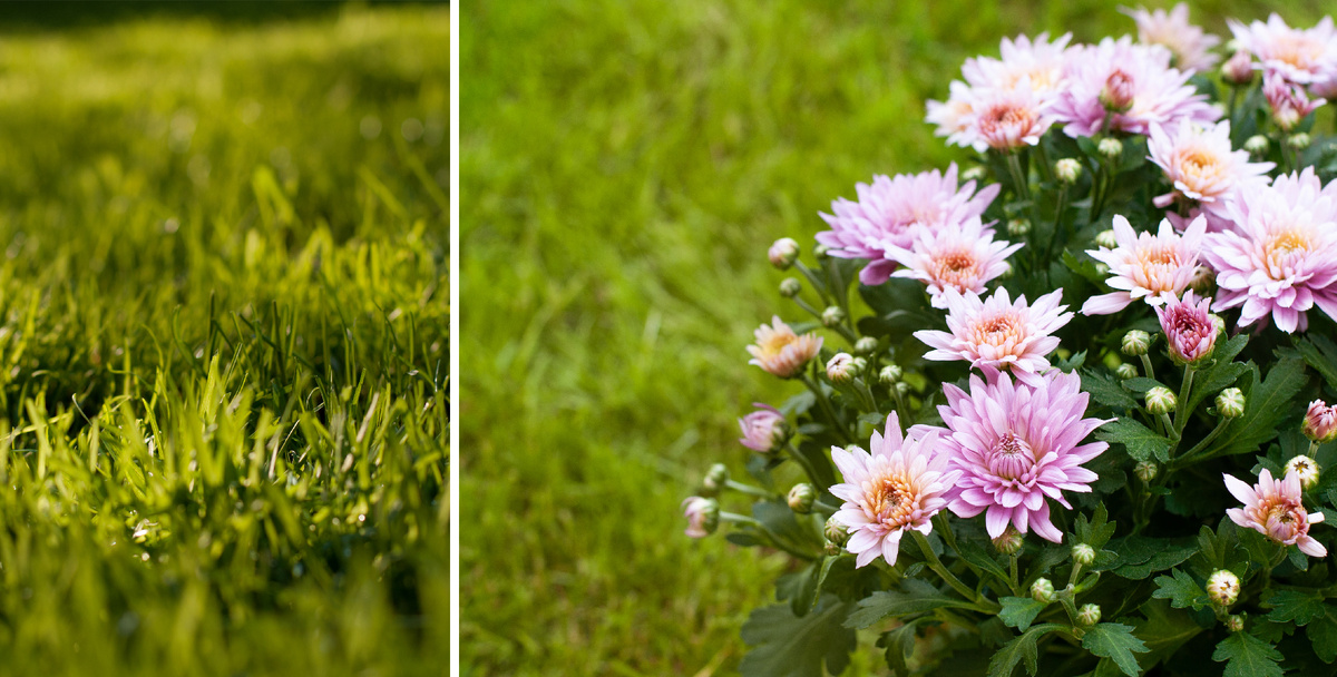 Личное фото
