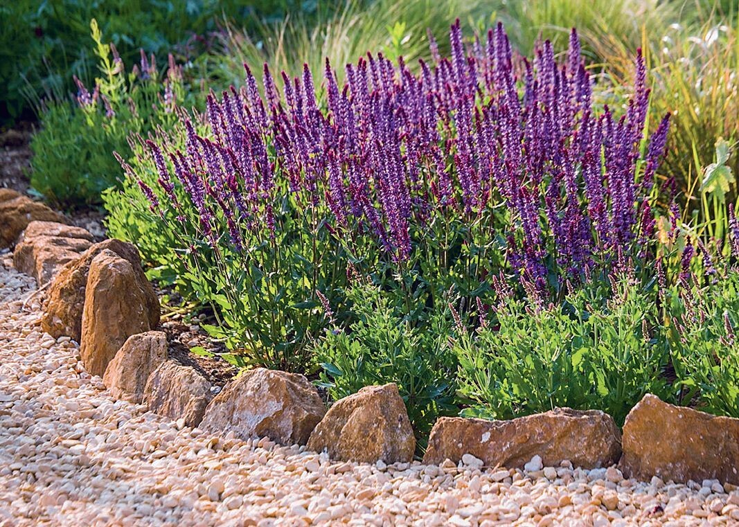    В саду в природном стиле окантовка из валунов смотрится как нельзя более гармонично. К слову, в швах такой каймы любят селиться симпатичные представители фауны — ящерицы, веретеницы и шмели