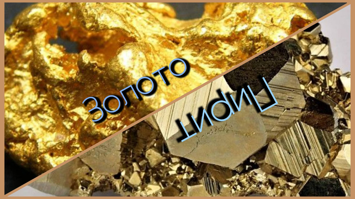 Коллаж автора.