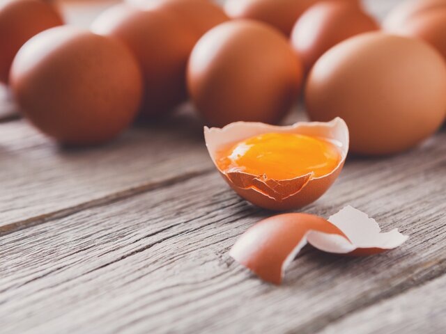    Фото: 123RF/milkos