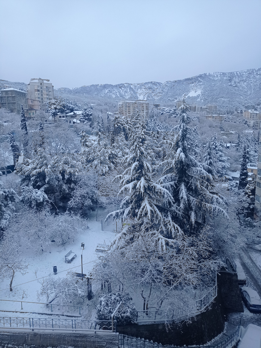 Вот такая зима была в Ялте