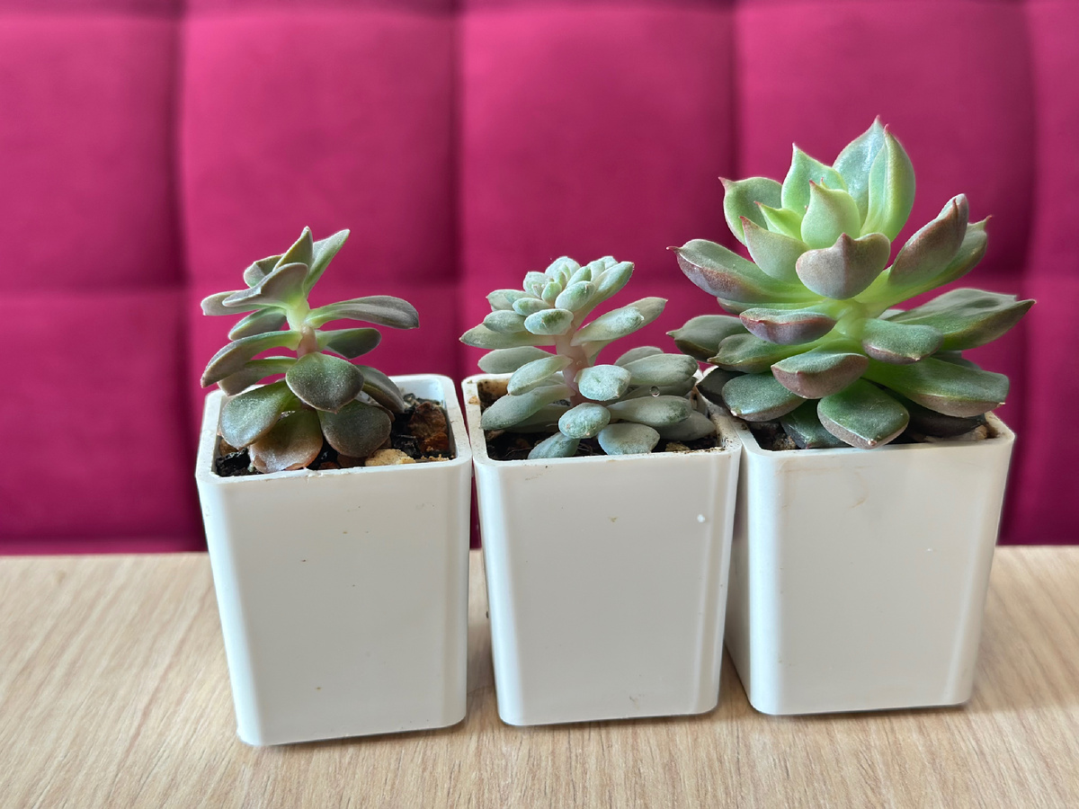 Это безобразие случилось буквально за три дня 🫣