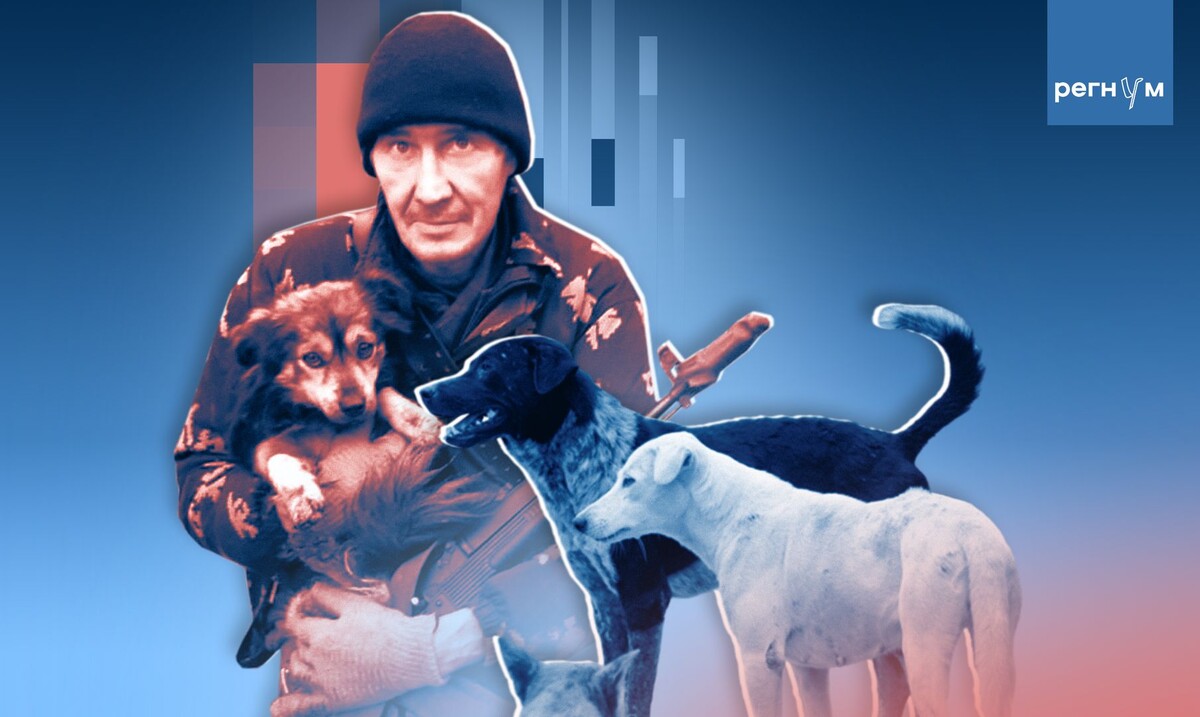     / Источник: Иван Шилов (с) ИА Регнум