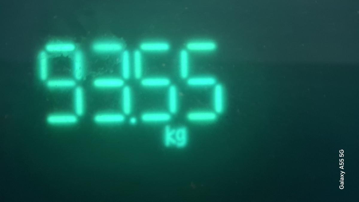 24.04.2025 г. Фото автора