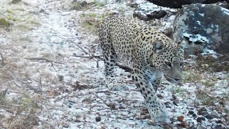      Фото: Минприроды Республики Дагестан