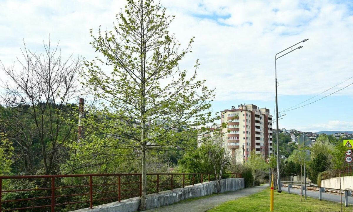    Фото t.me/agproshunin