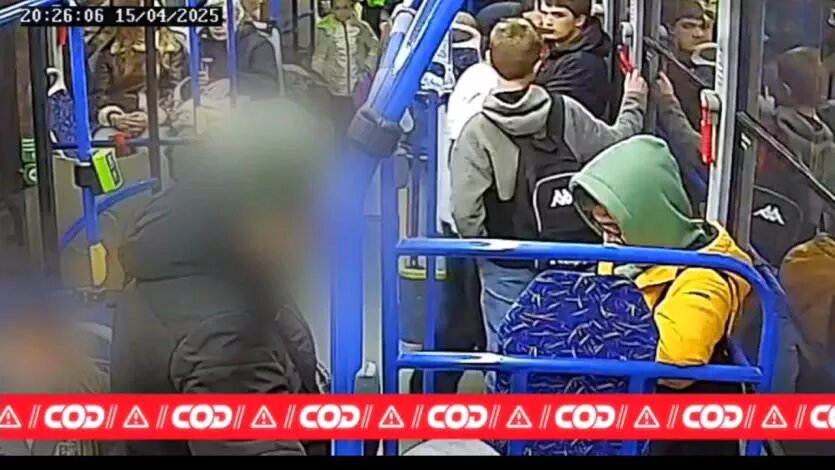 Фото: МУП СОД