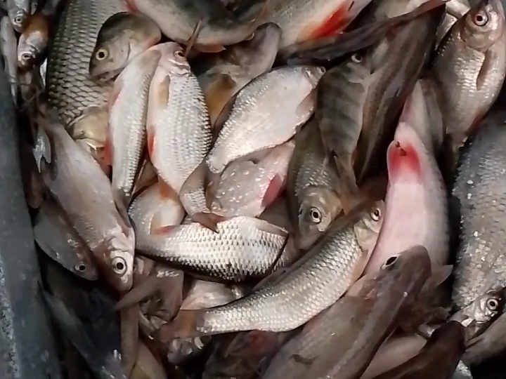 Второй день на рыбалке ,приходили ко мне гости ( продолжение)