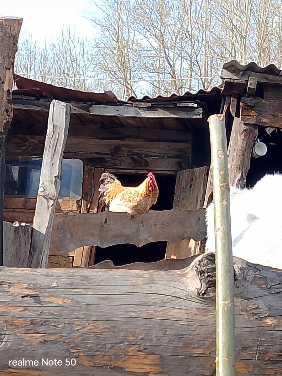 Петя отдыхает.