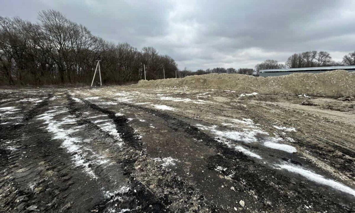    Фото t.me/rosprirodnadzor_yuzhnoye