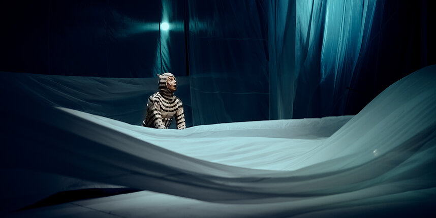    Кит плывёт на северГеворг Арутюнян