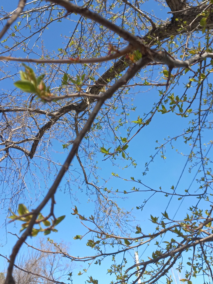 Какое небо голубое