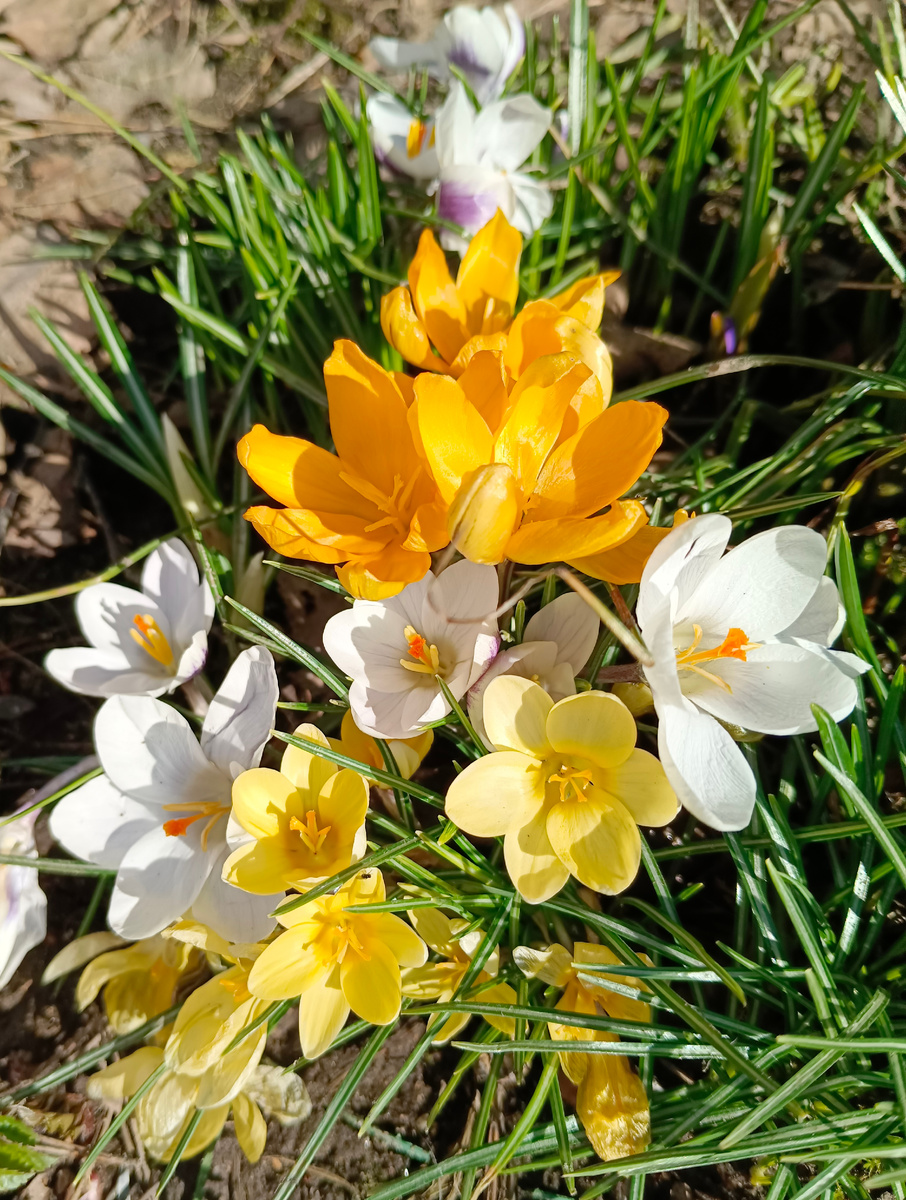 Фото из личного архива автора