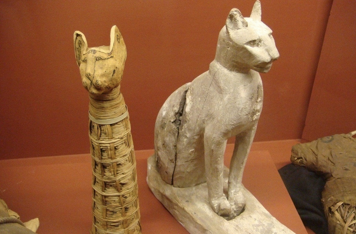 Фото из интернета 