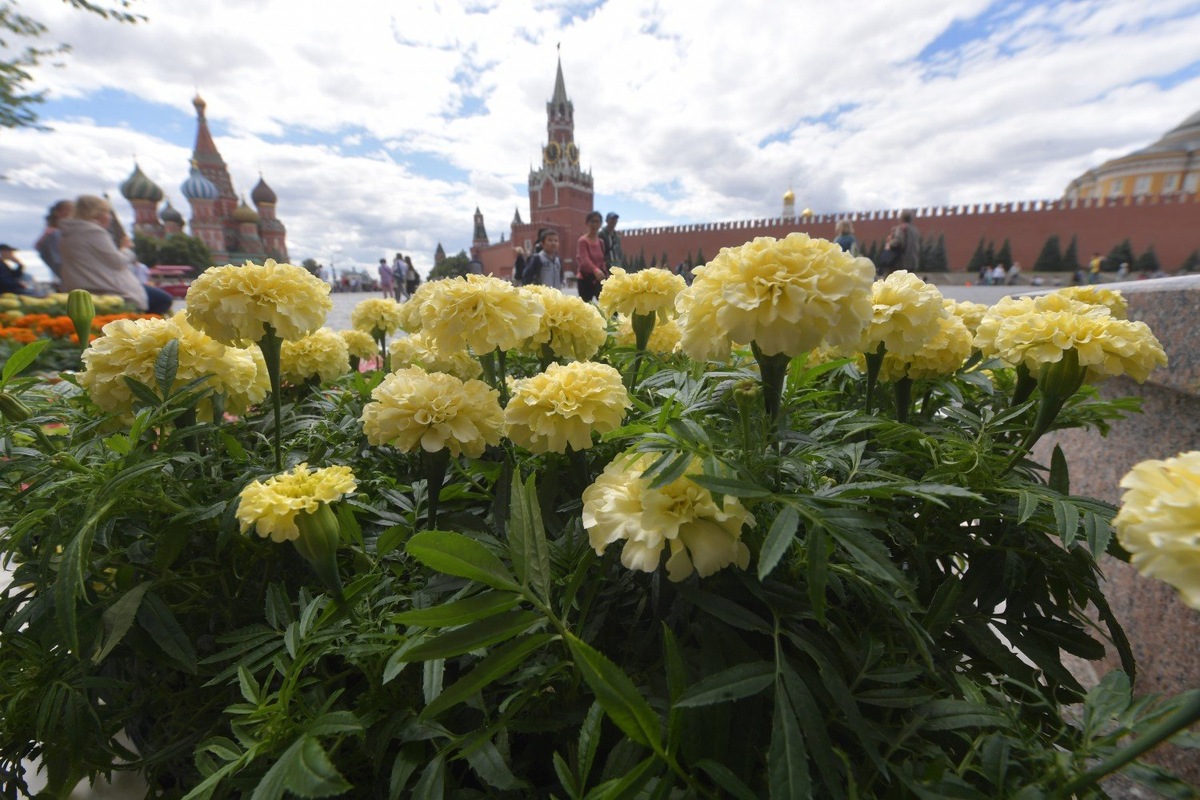 Фото: GlobalLookPress